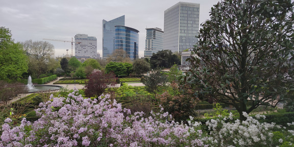 Park in Brussels with trees in the front and glass office buildings in the back