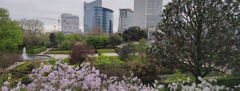 A park in Brussels where many different trees and bushes can be seen in the foreground, while large glass office buildings can be seen in the background 